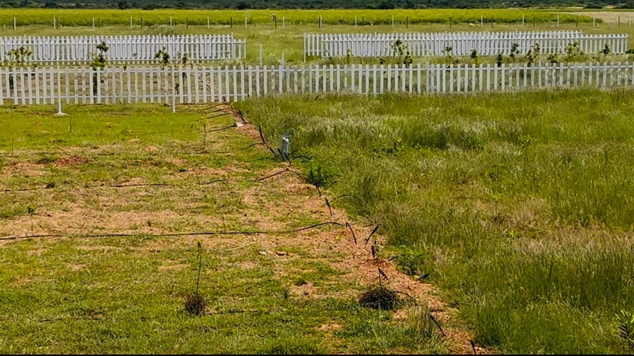 just 79rs sqft near lepakshi temple 3