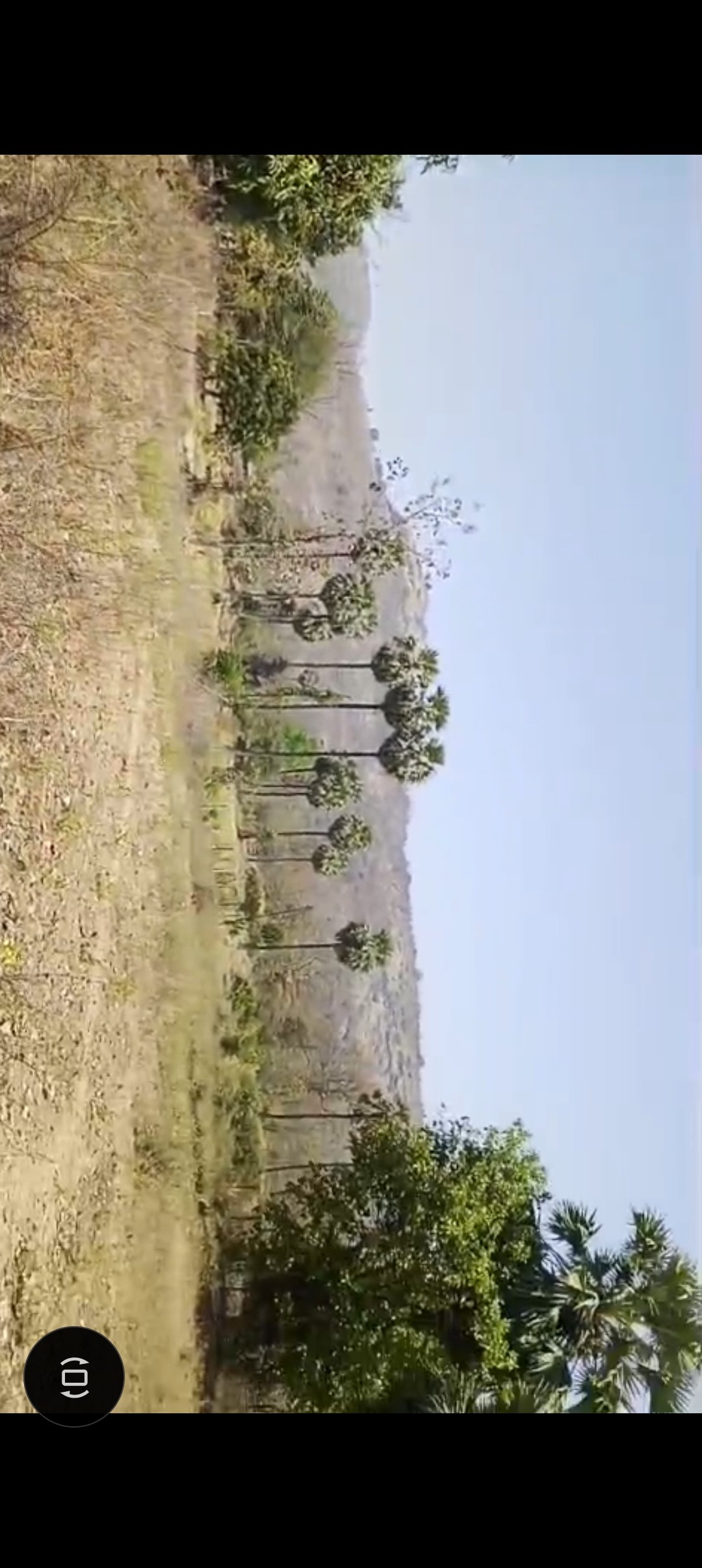 Agricultural land for sale at manor,palghar