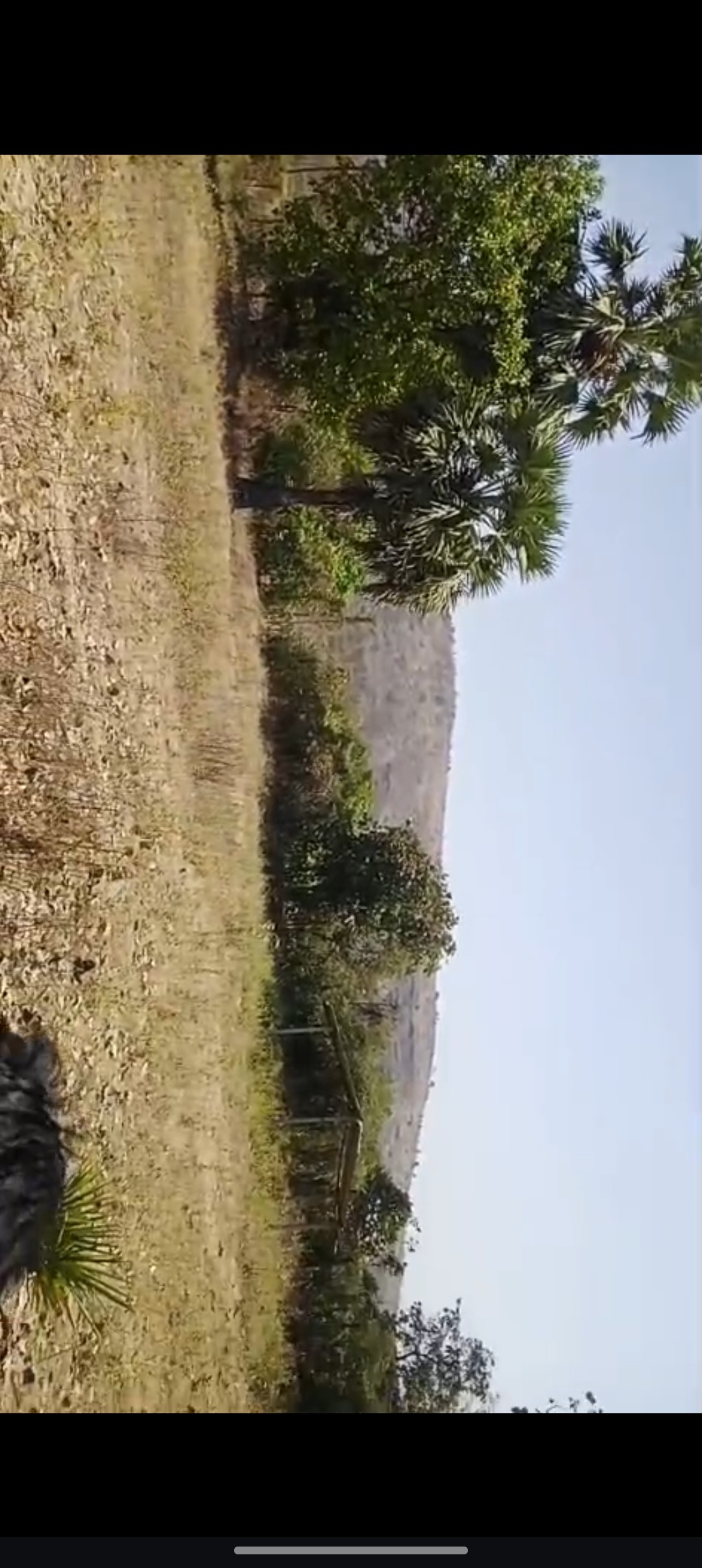 Agricultural land for sale at manor,palghar 2