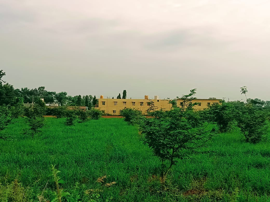 14 guntas managed form land