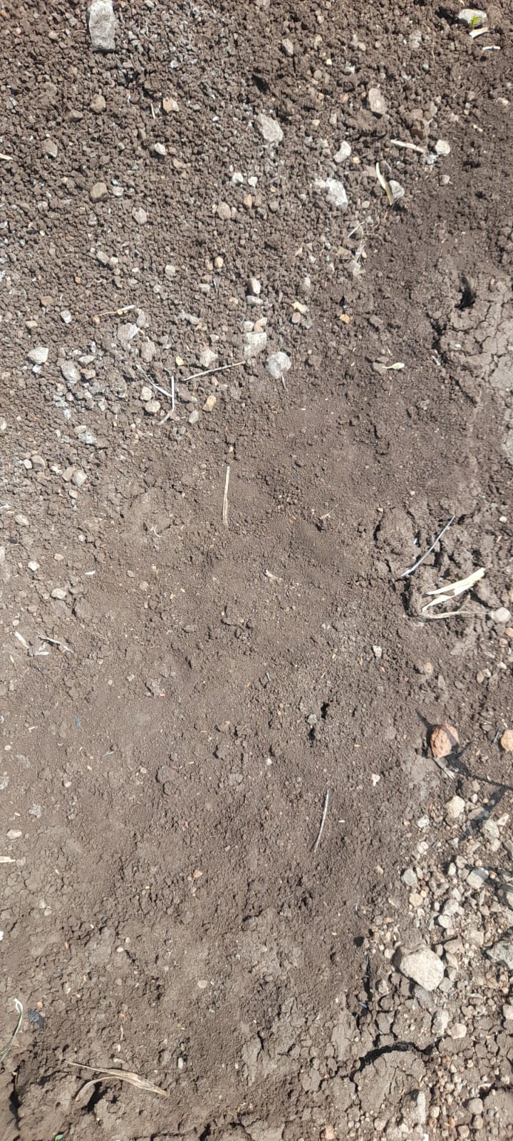 Land for Sale – 9.5 Guntha in Yadrav, Shirol Taluka | Investment Opportunity