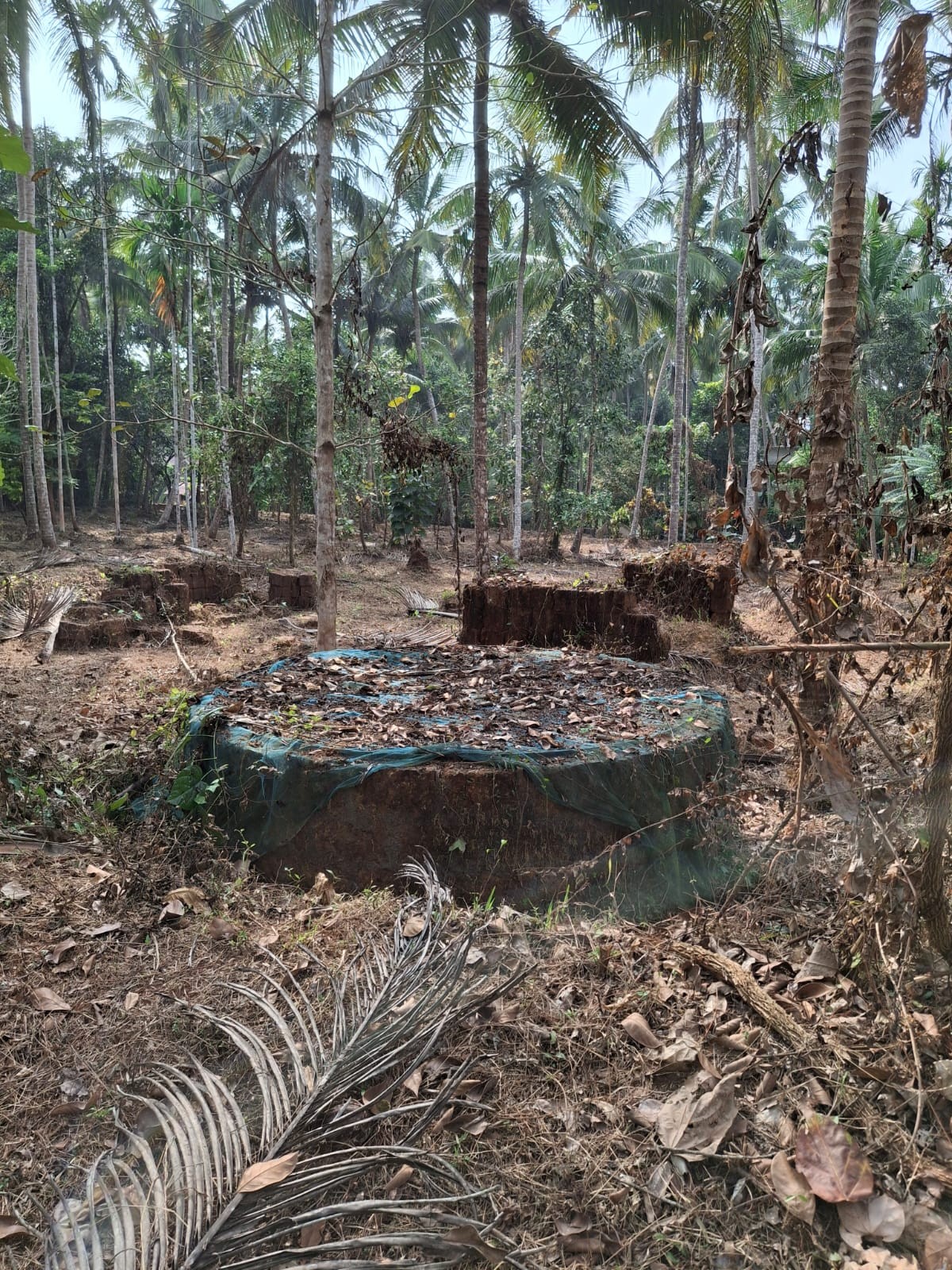 Manniledam RK land 3