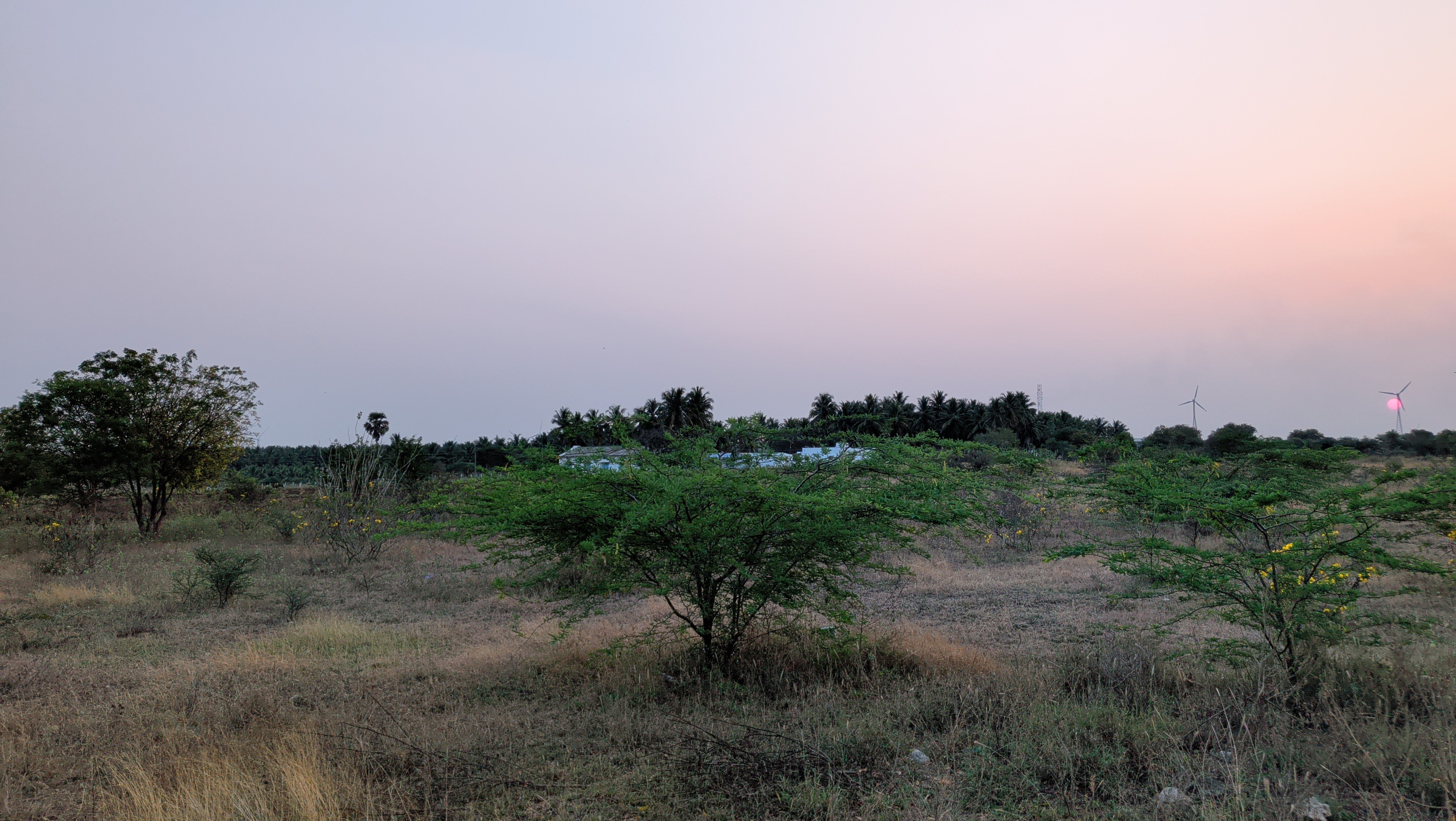 25 cent for sale per cent 130000 3