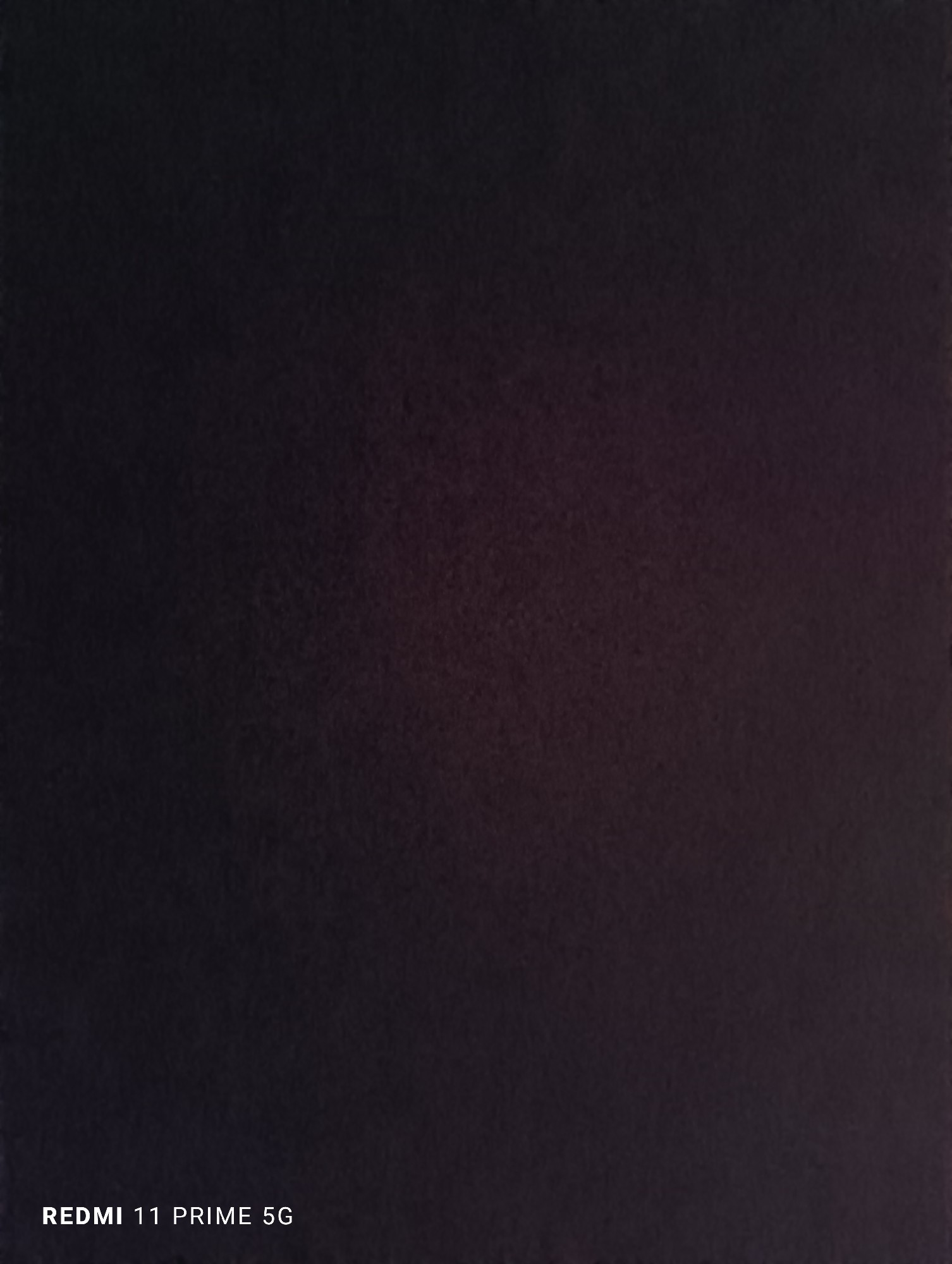 Bird of paradise(urgent sale)(6361791743)