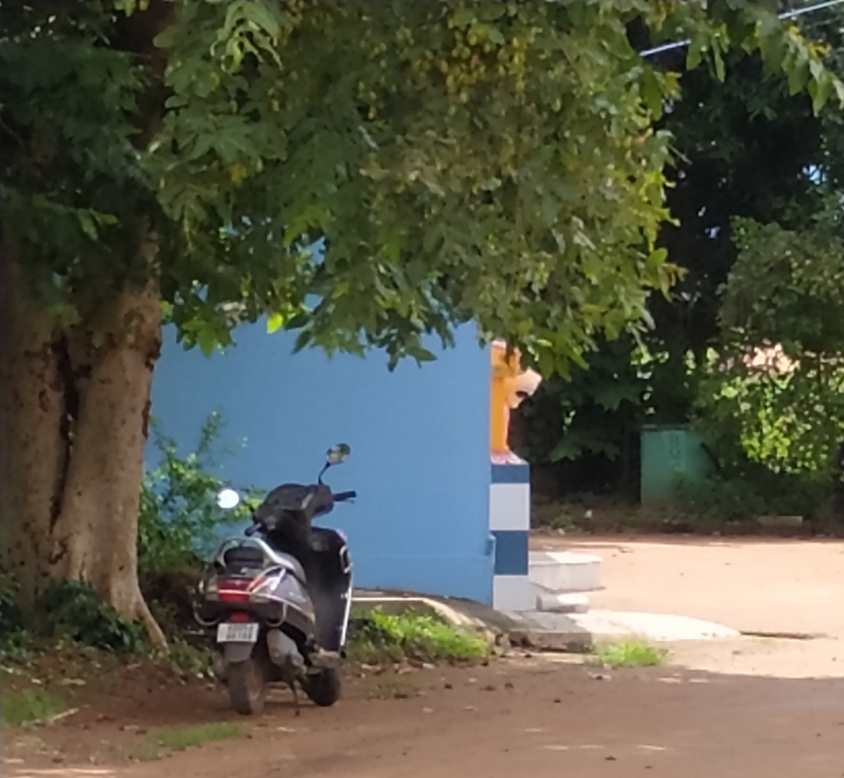 RESIDENTIAL_ PLOT/LAND IN DUMDUMA 2