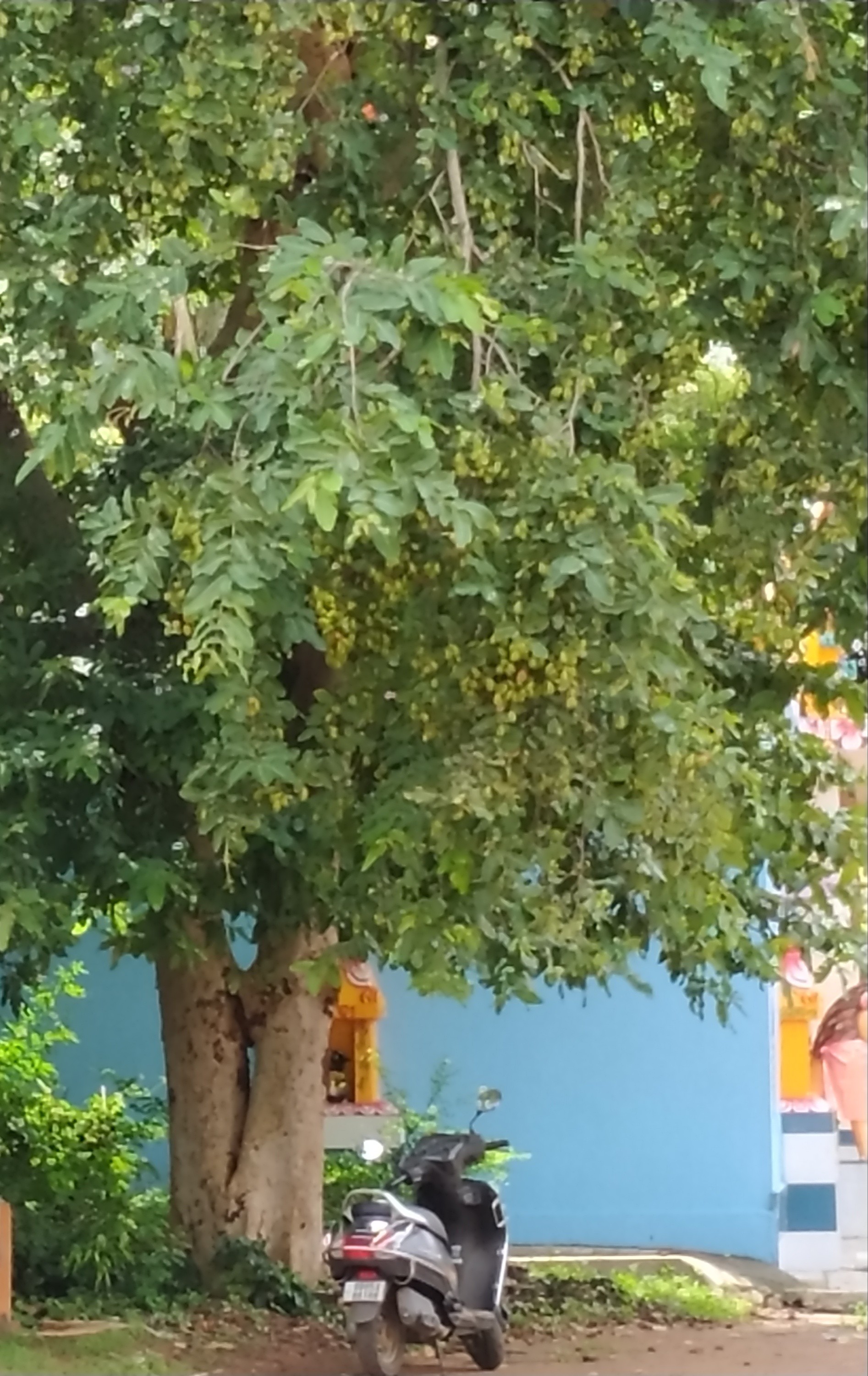 RESIDENTIAL_ PLOT/LAND IN DUMDUMA 3