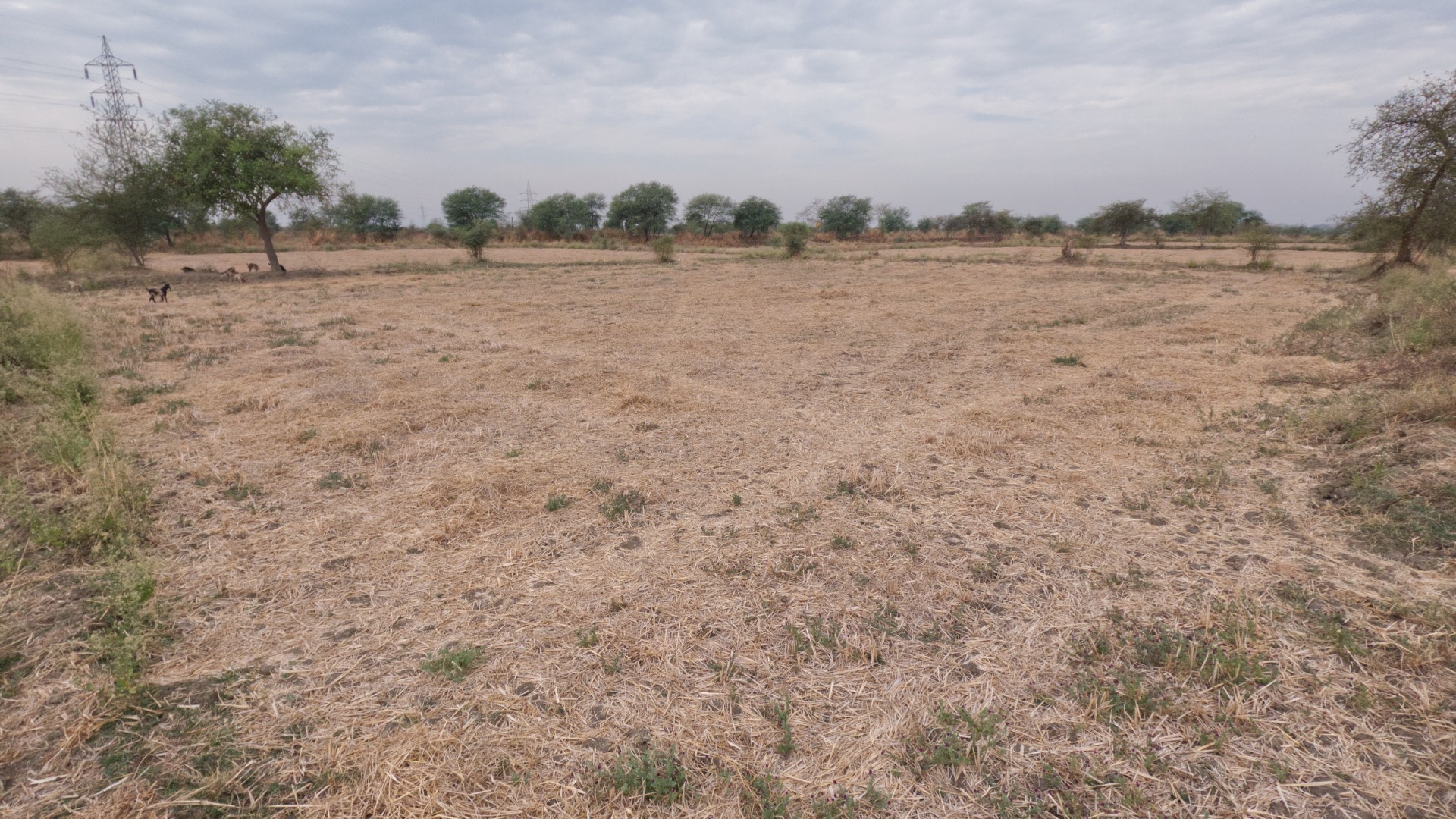 Bohardih Village, Arang, Raipur 2