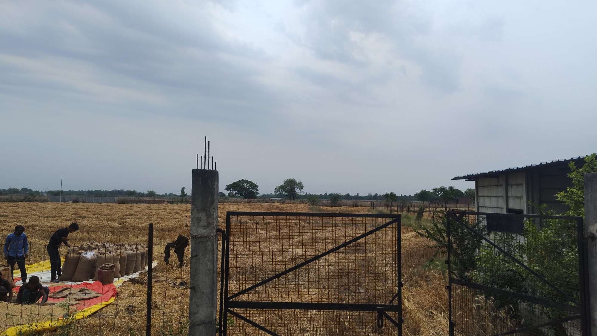 1.2 Lakh Sq Ft Open Commercial Land for Lease near Kisan Path 3