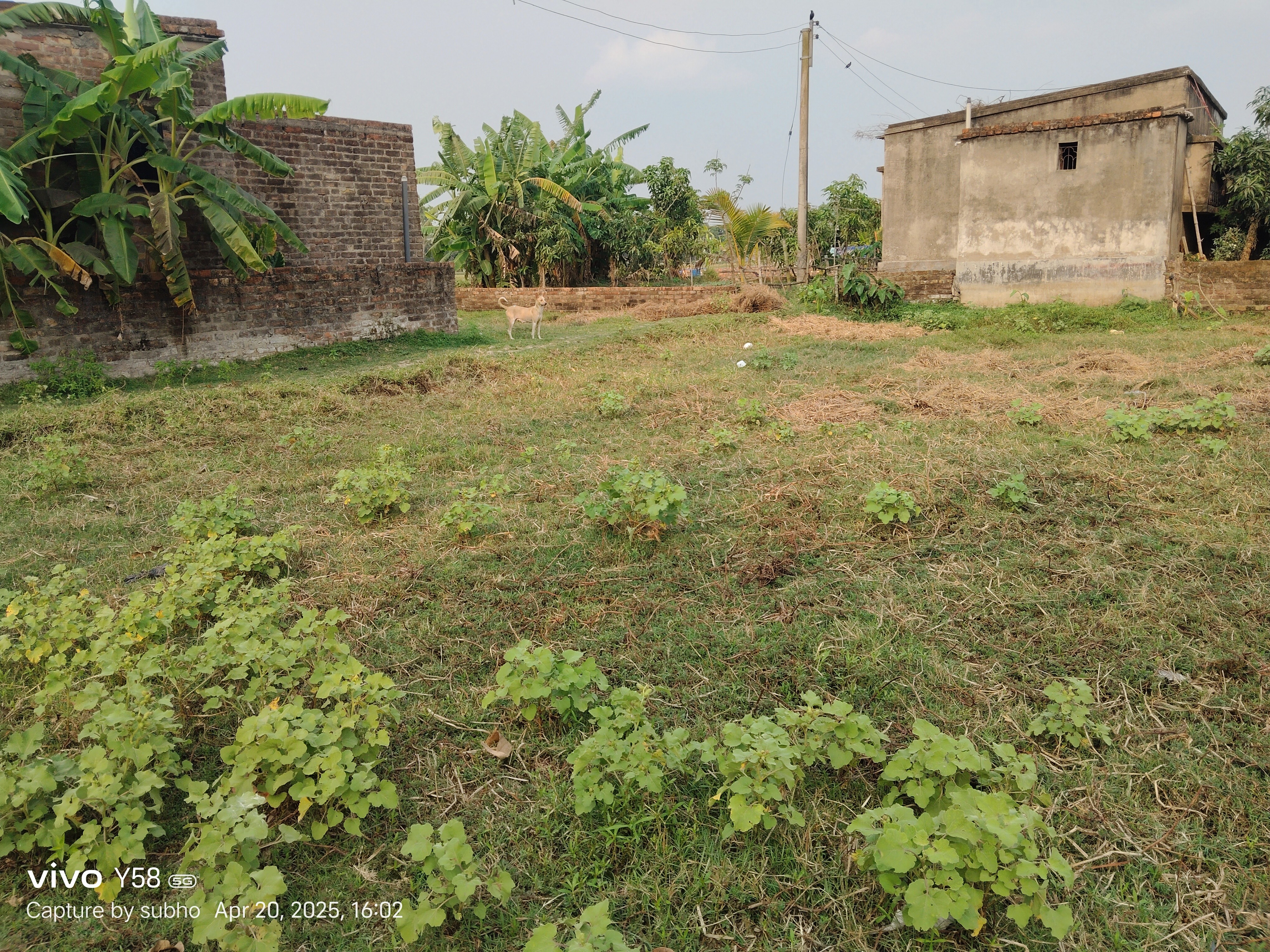 2 kattah plot sell urgently 3