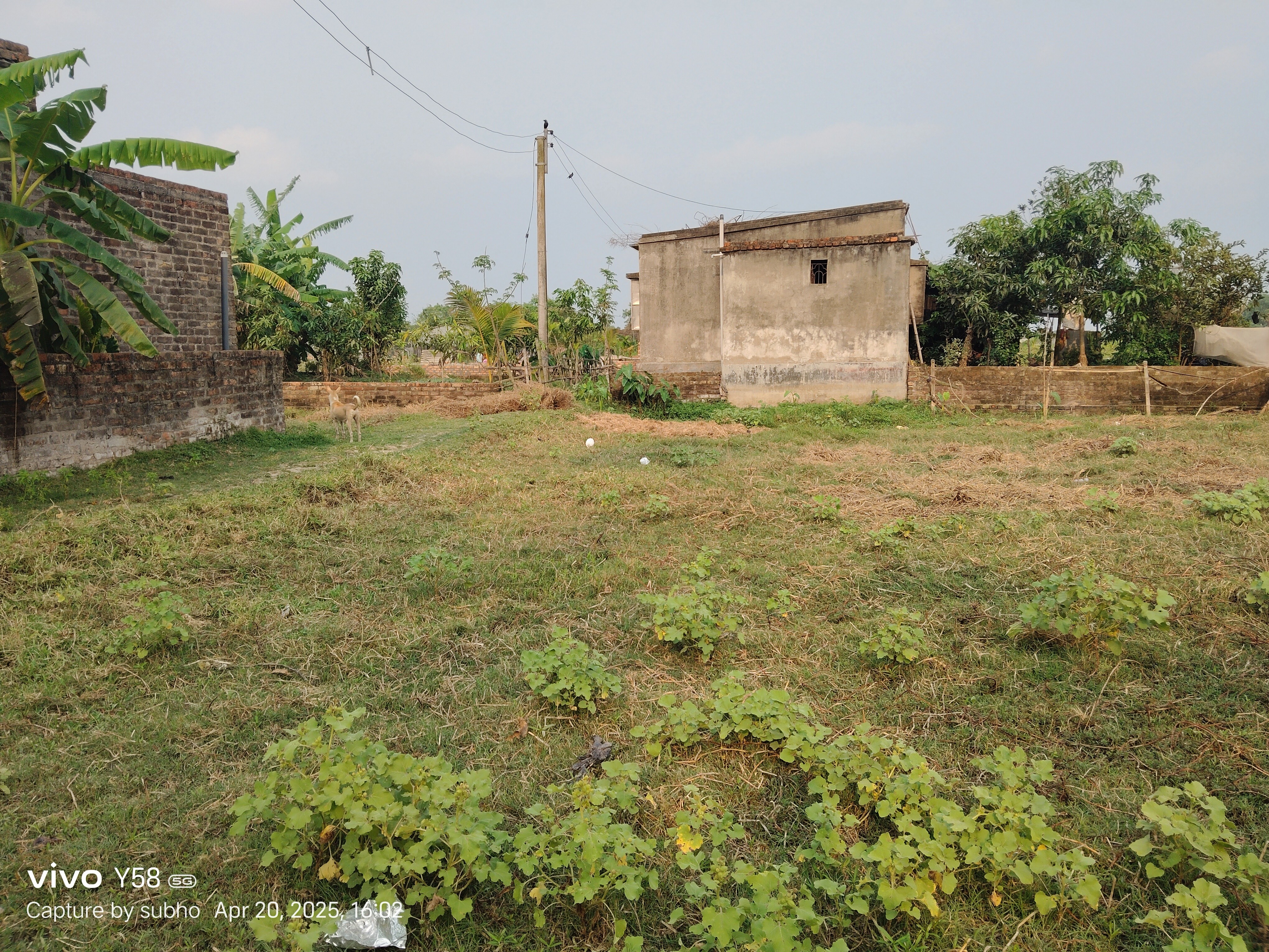 2 kattah plot sell urgently 2